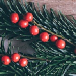 charitable giving