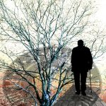 gun violence restraining order seniors