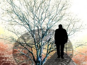 gun violence restraining order seniors